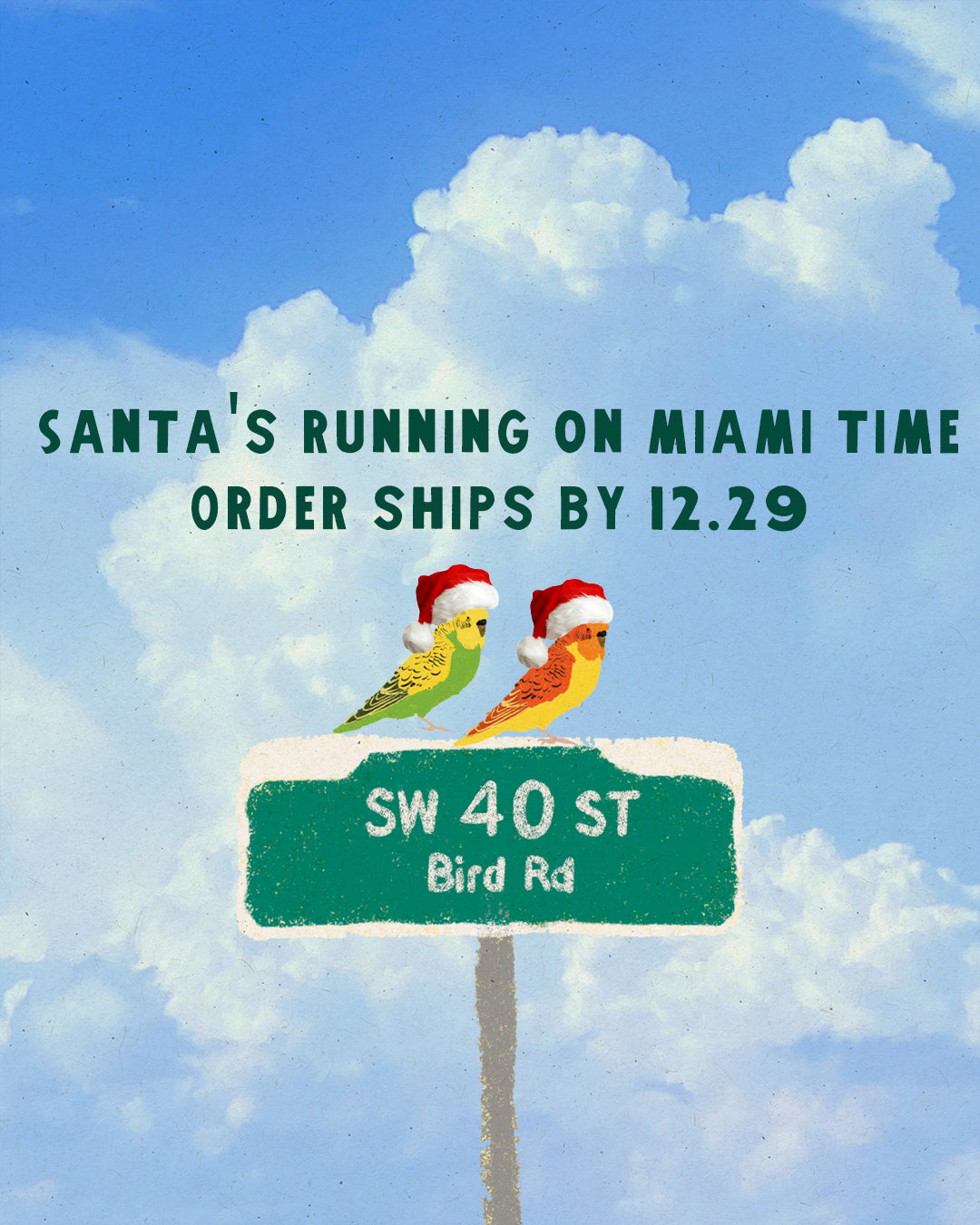 Bird Road Birdies Sweatshirt